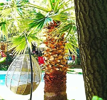 Manastirhan Kazdaglari Hotel Gure